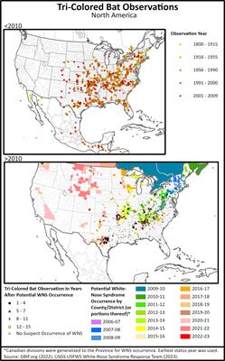Literature review of tri-colored bat natural history with implications to management